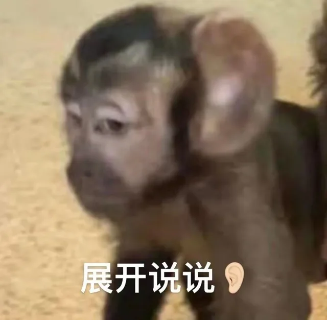 展开说说（展开说说）