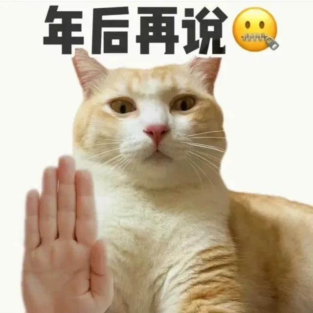 年后再说（年后再说）
