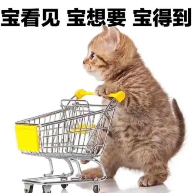 宝看见宝想要宝得到（宝看见宝想要宝得到）