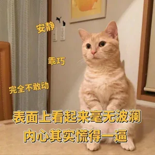 安静乖巧完全不敢动表面上看起来毫无波澜内心其实慌得一