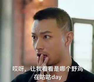 哎呀，让我看看是哪个野鸡在咕咕 day