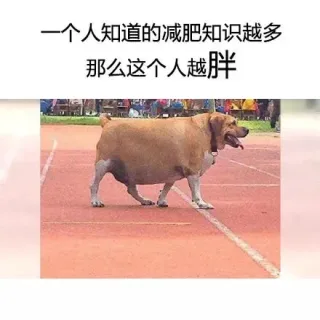 一个人知道得越多，说明这个人...... _内涵表情包