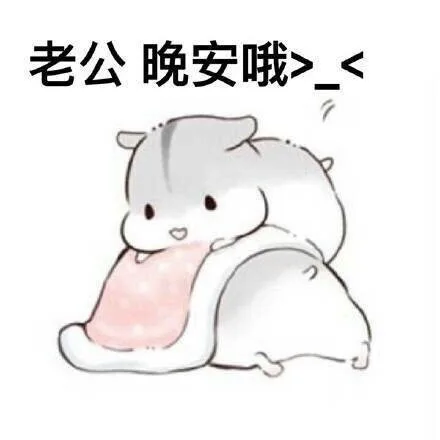 老公晚安哦>（老公晚安哦>）