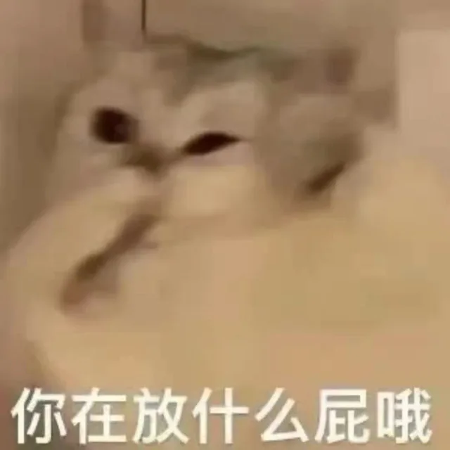 你在放什么屁哦（你在放什么屁哦）