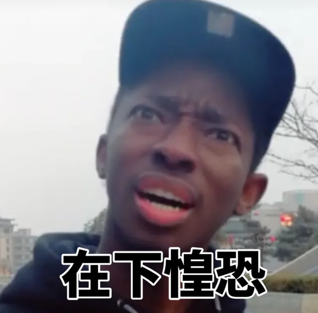 在下惶恐（在下惶恐）