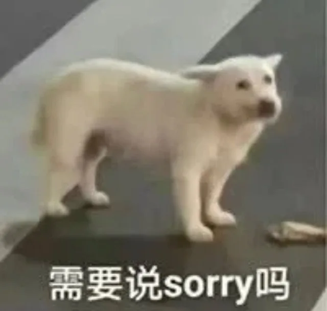 需要说sorryl吗（需要说sorryl吗）