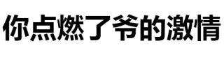 你点燃了爷的激情