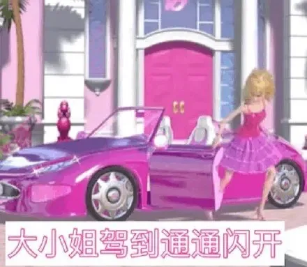 大小姐驾到通通闪开（大小姐驾到通通闪开）