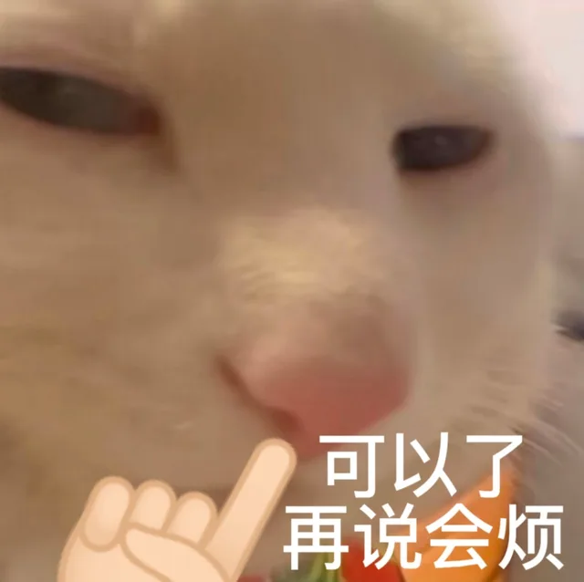 可以了再说会烦