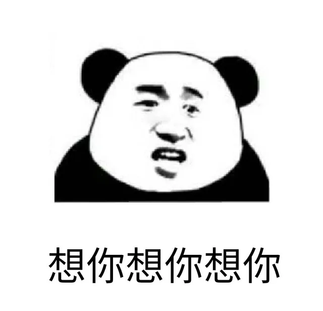 想你想你想你