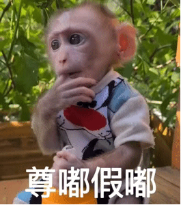 尊嘟假嘟(猴子表情包)（尊嘟假嘟(猴子表情包)）