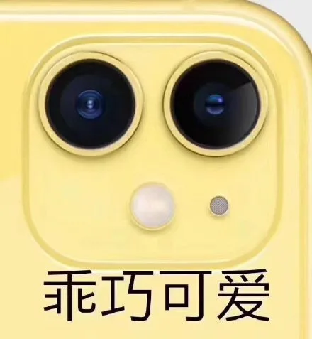 iPhone11五彩浴霸摄像头表情包_iphone