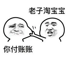 老子淘宝宝，你付账账（老子淘宝宝，你付账账）