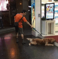 图1：当你来姨妈路过冰淇淋店时你的男朋友和你 [doge]图2：男朋友买了你最爱吃的冰淇淋，并且要喂你吃的时候。。。哈哈哈哈哈哈哈哈哈哈哈哈说的是不是你啊？_大姨妈_冰淇淋_男朋友表情包