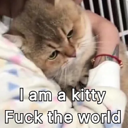 I am a kittyFuck the world.（I am a kittyFuck the world.）