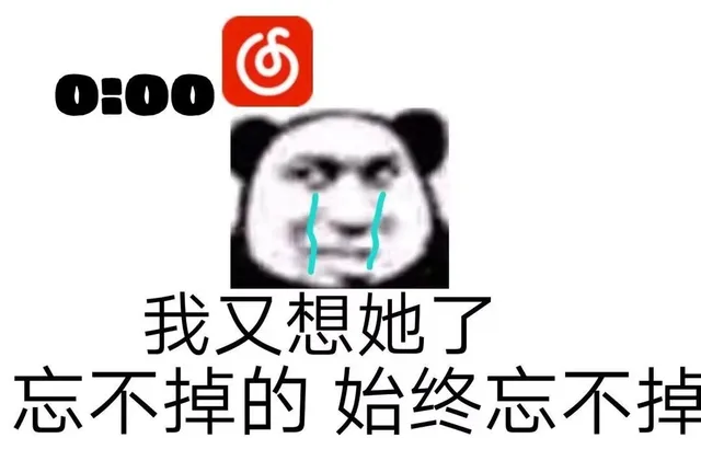 000我又想她了忘不掉的始终忘不掉（000我又想她了忘不掉的始终忘不掉）