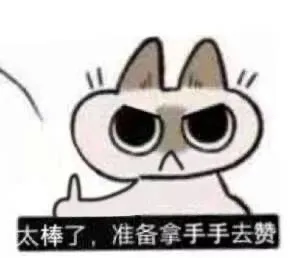 太棒了,准备拿手手去赞