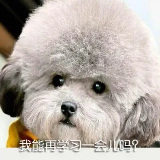 我能再学习一会儿吗？