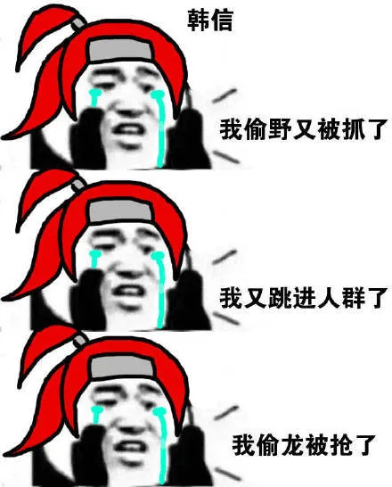 韩信我偷野又被抓了我又跳进人群了我偷龙被抢了