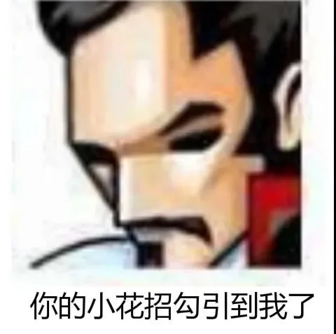 你的小花招勾引到我了（你的小花招勾引到我了）