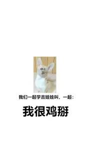 我们一起学吉娃娃叫,一起:我很鸡掰