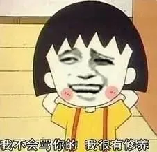 我不会骂你的 我很有修养