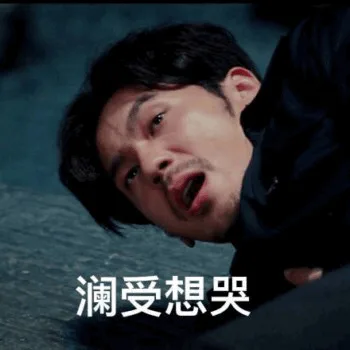 澜受想哭（澜受想哭）