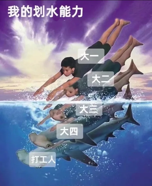 我的划水能力大二大大四打工人