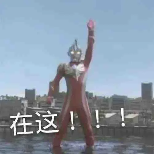 在这！！！（在这！！！）