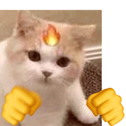 猫猫打拳动图表情包