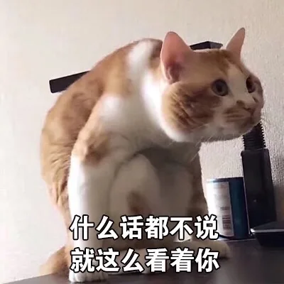 什么话都不说，就这么看着你
