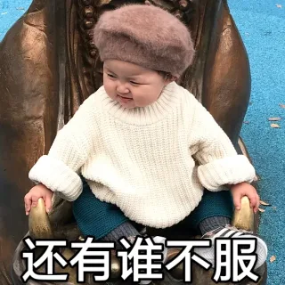还有谁不服（罗熙表情包）