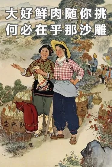 大好鲜肉随你挑何必在乎那沙雕（大好鲜肉随你挑何必在乎那沙雕）