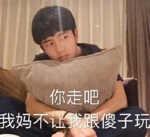 你走吧 我妈不让我跟傻子玩