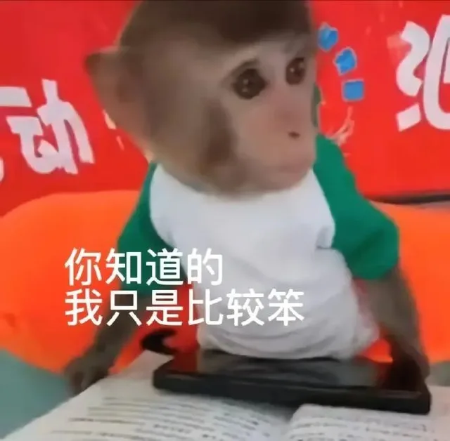 动你知道的我只是比较笨(猴子表情包吗喽表情包)（动你知道的我只是比较笨(猴子表情包吗喽表情包)）