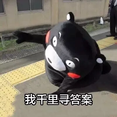 我千里寻答案（我千里寻答案）