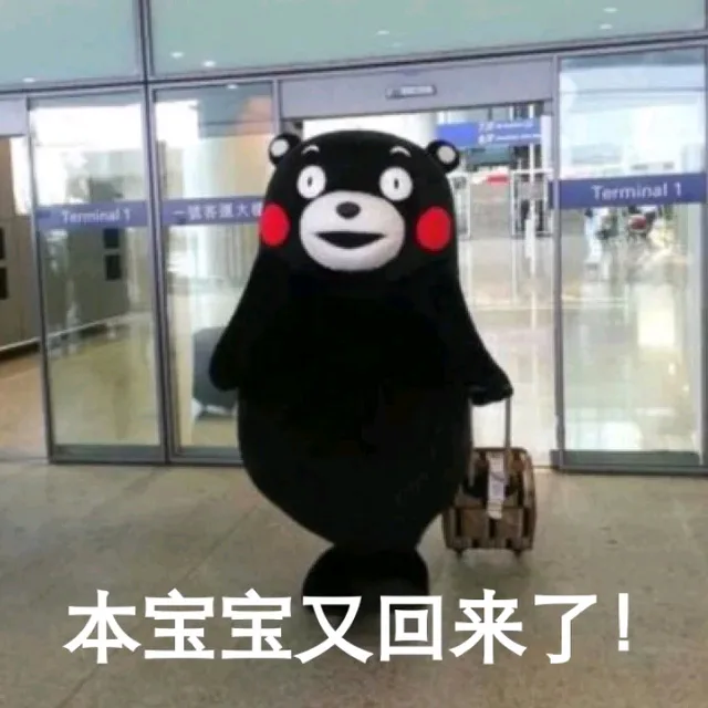 本宝宝又回来 了（本宝宝又回来 了）