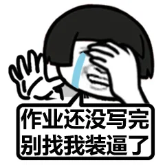 作业还没写完，别找我装逼了