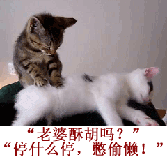 老婆，酥胡吗？停什么停，憋偷懒！（老婆，酥胡吗？停什么停，憋偷懒！）
