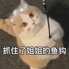 抓住了姐姐的鱼钩（抓住了姐姐的鱼钩）