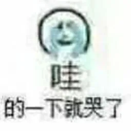 哇的一下就哭了（哇的一下就哭了）