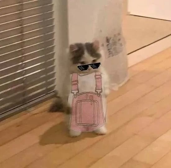 猫猫穿背带裤