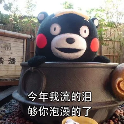 今年我流的泪够你泡澡的了（今年我流的泪够你泡澡的了）