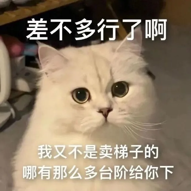 差不多行了啊我又不是卖梯子的哪有那么多台阶给你下（差不多行了啊我又不是卖梯子的哪有那么多台阶给你下）