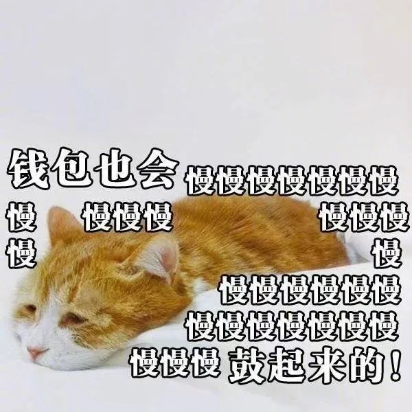 钱包也会慢慢慢慢鼓起来的！