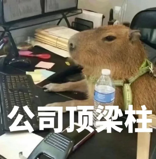 公司顶梁柱(水豚表情包)（公司顶梁柱(水豚表情包)）