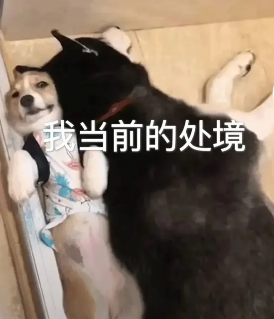 我当前的处境（我当前的处境）