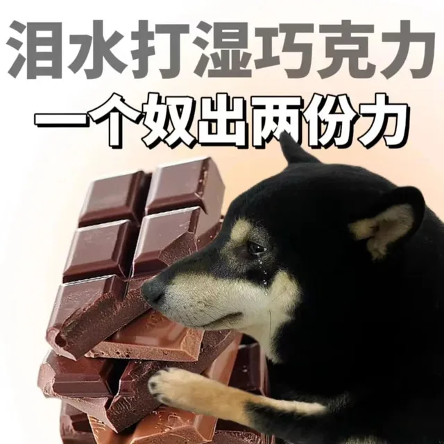 泪水打湿巧克力一个奴出两份力（泪水打湿巧克力一个奴出两份力）