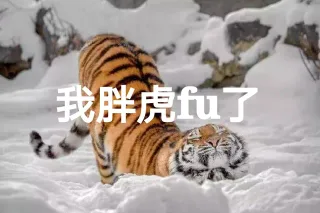 我服了 我fu了_动物
