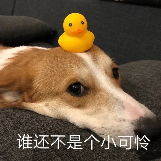 谁还不是个小可怜（谁还不是个小可怜）